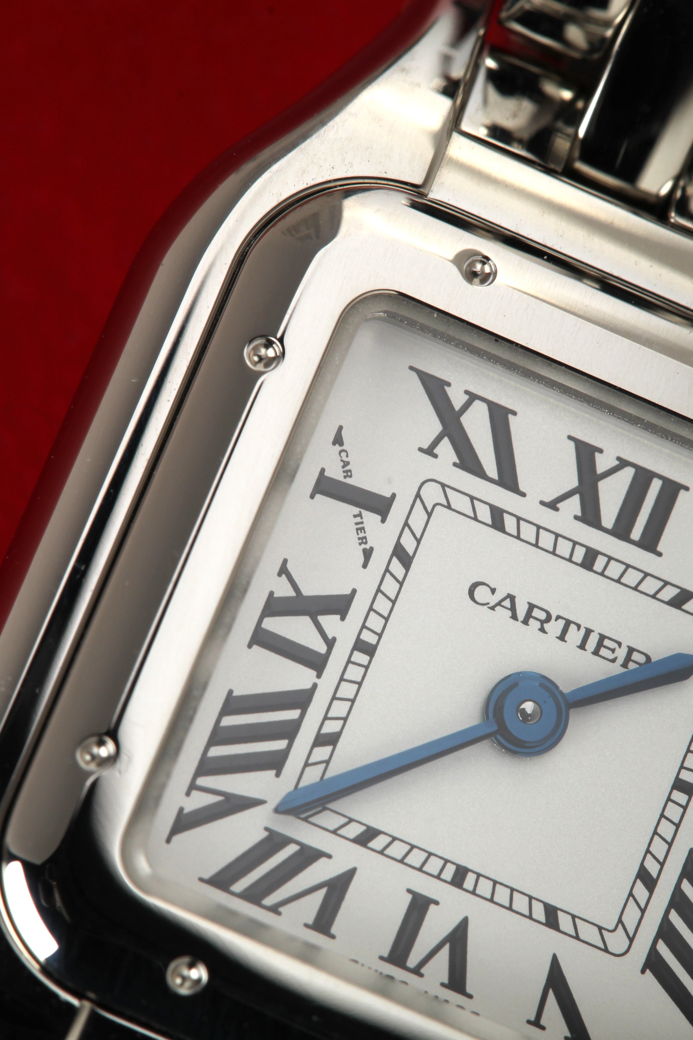 Cartier Panthère de Cartier