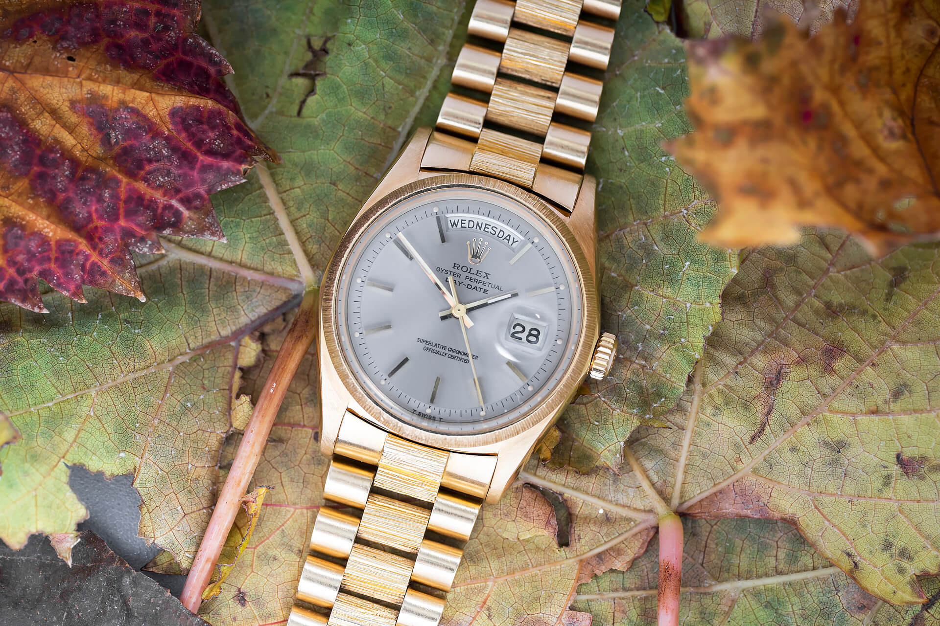 Rolex Day-Date 1807 'Bark"