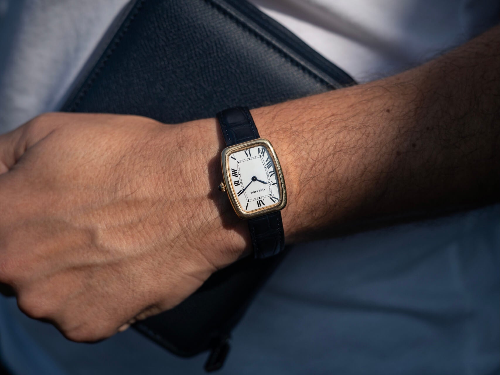Cartier Faberge Paris Ref. 7810
