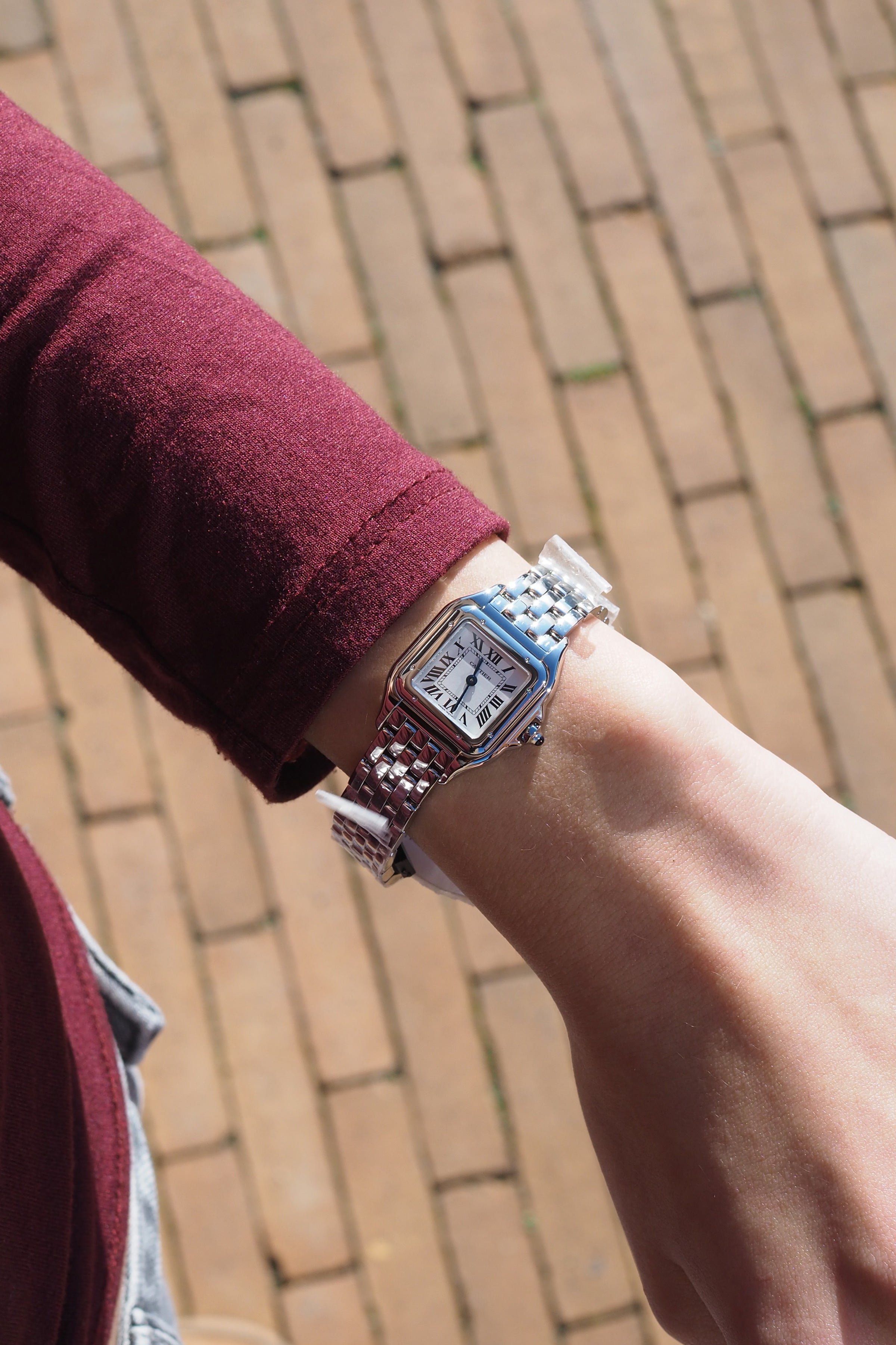 Cartier Panthère de Cartier