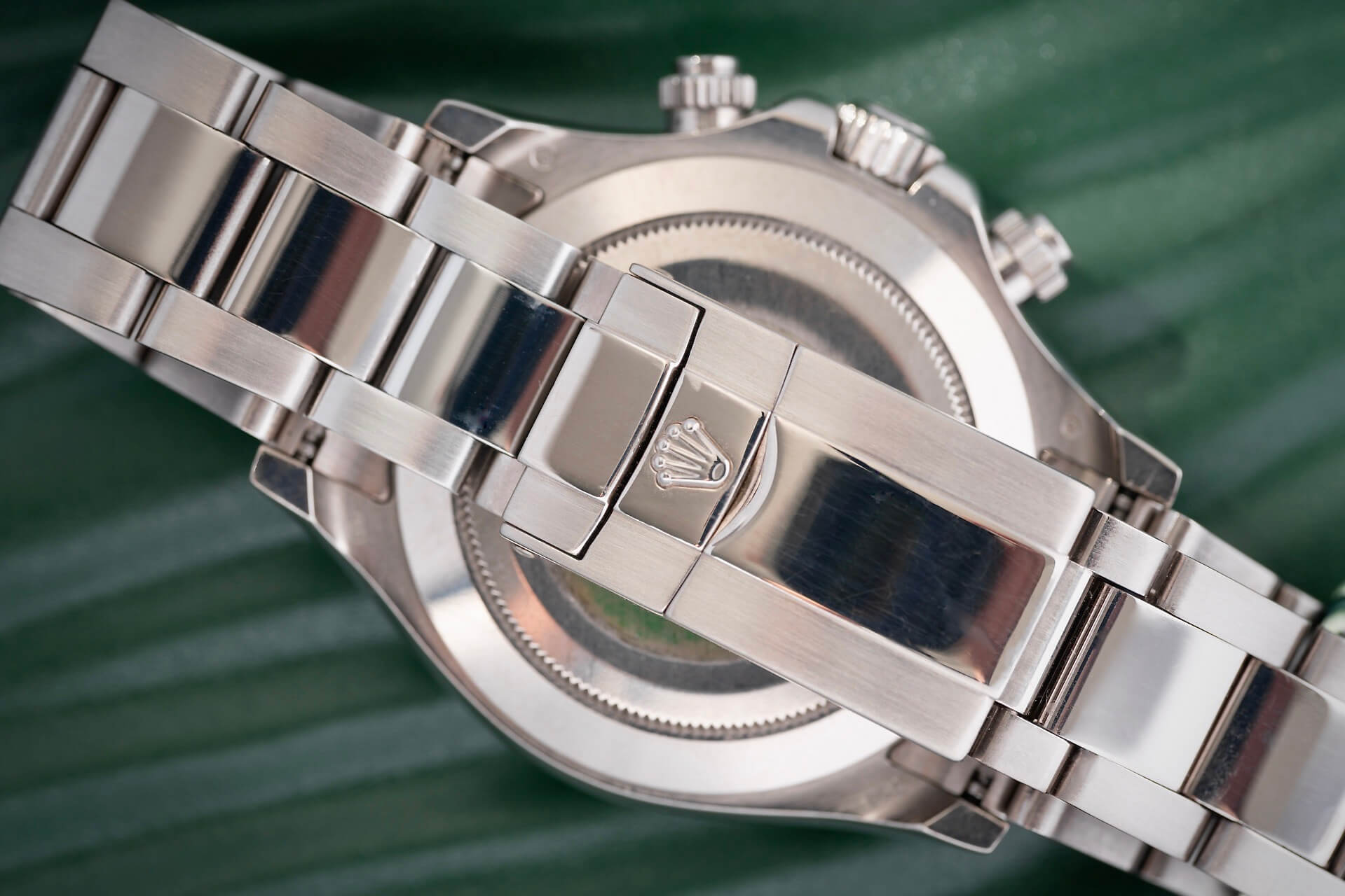Rolex Daytona 116509 'Racing Dial'