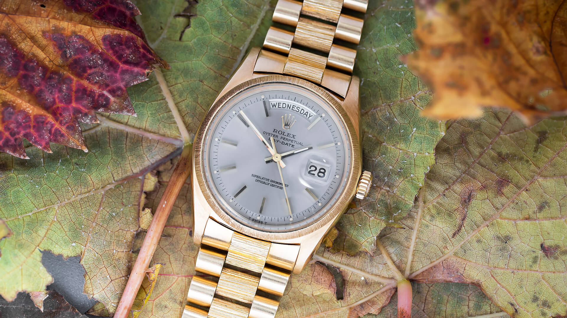 Rolex Day-Date 1807 'Bark"